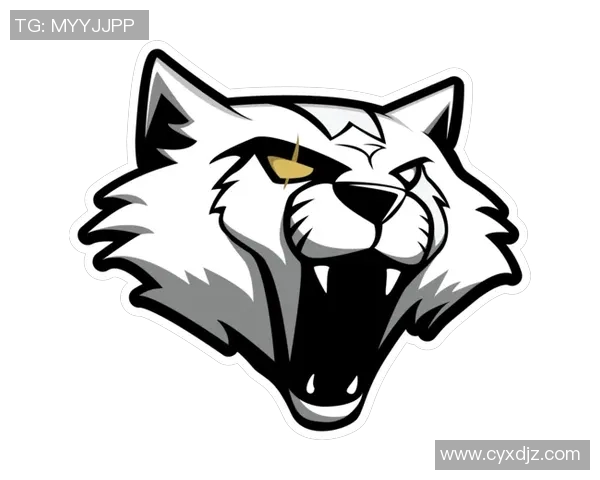 深入分析JDG战队在CSGO中的防守与反击策略解析实时数据